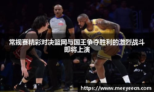 BB贝博艾弗森体育