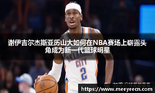 BB贝博艾弗森体育