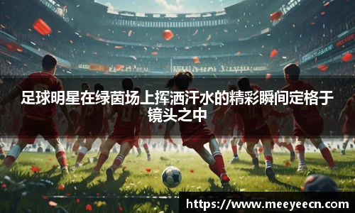 BB贝博艾弗森体育