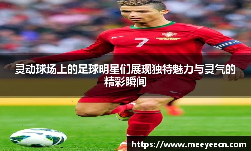 中国·BB贝博艾弗森(股份)有限公司-官方网站