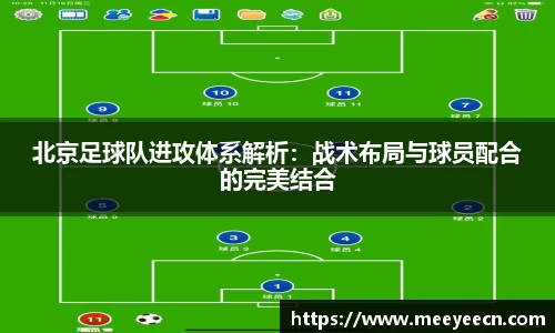 BB贝博艾弗森体育