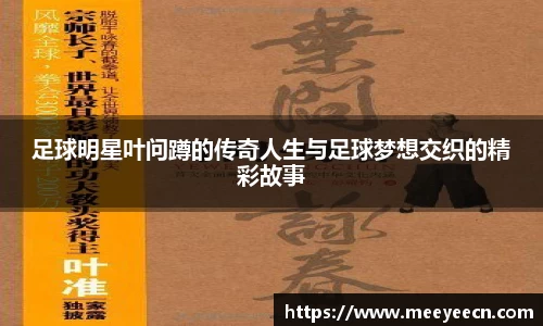 BB贝博艾弗森体育