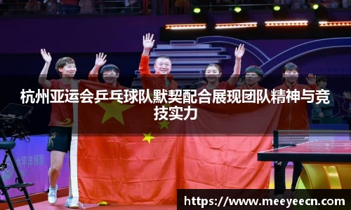 BB贝博艾弗森体育