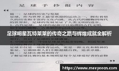 BB贝博艾弗森体育